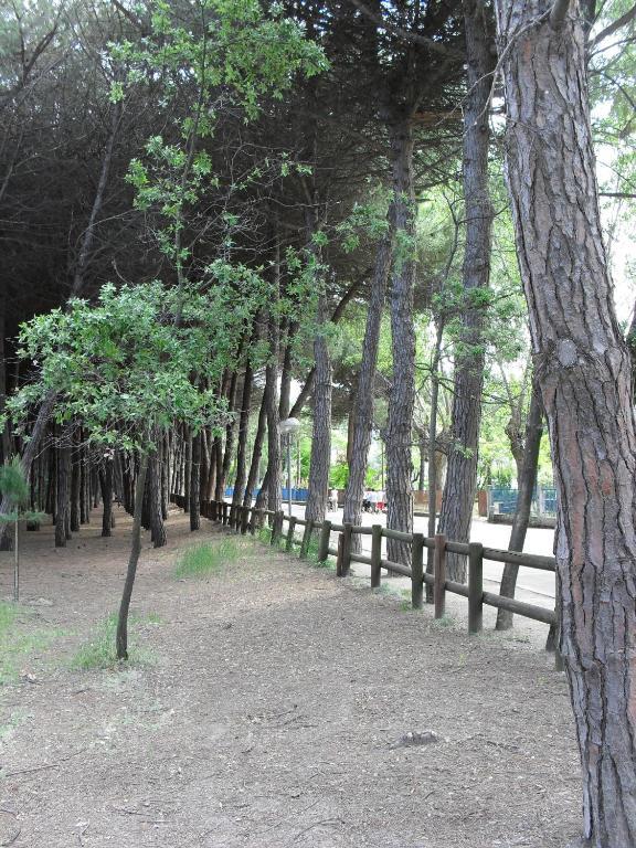 Hotel Clift Cervia Eksteriør bilde